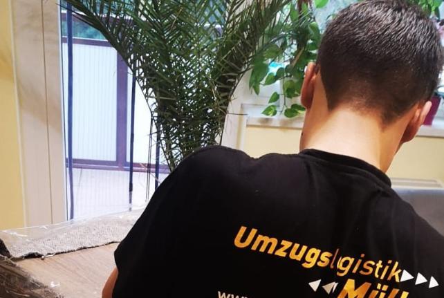 Laborumzug Bockau stressfrei umziehen 